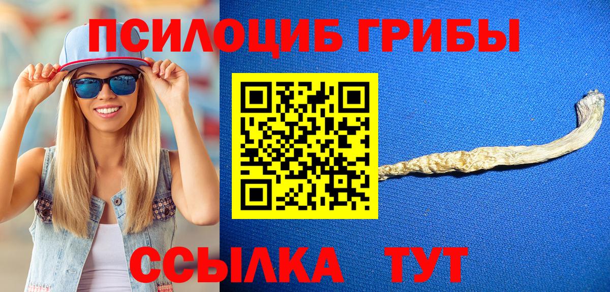 Псилоцибиновые грибы Psilocybe  Вход с VPN  Сибай 